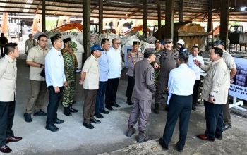 Prabowo Saksikan Langsung Rampasan Aset Tambang, Ungkap Kerugian Negara Rp300 Triliun 7