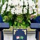 Presiden Lula dan Prabowo Sepakat Perkuat Poros Global Selatan: Indonesia–Brasil Siap Jadi Kekuatan Baru Dunia