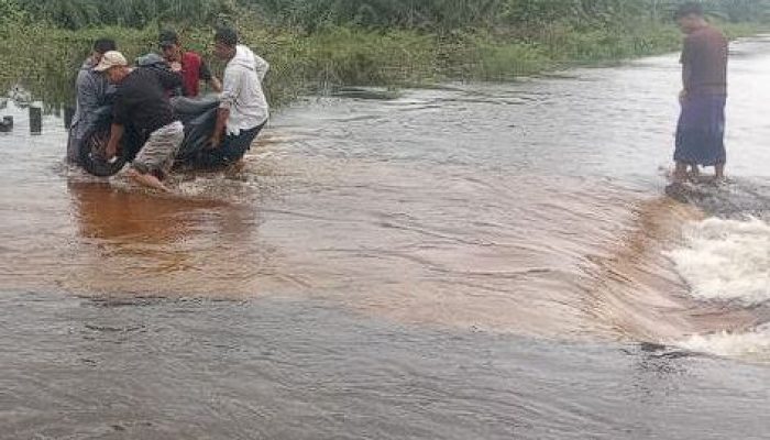 Banjir Aceh 2025 Meluas: 46.893 Jiwa Terdampak di 9 Kabupaten/Kota