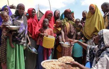 Dunia di Ambang Kelaparan: PBB Peringatkan Krisis Pangan Terburuk dalam Sejarah Modern