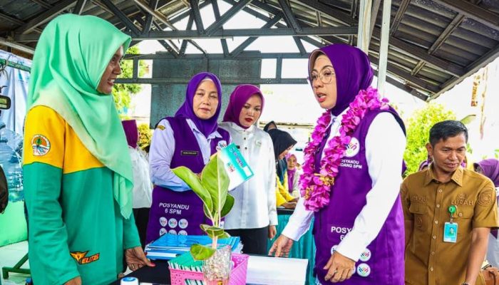 Posyandu Tangsel Dinilai Tim Provinsi Banten, Siap Jadi Juara Lomba Posyandu 2025