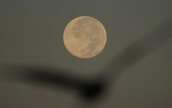 Supermoon November 2025: Bulan Terbesar dan Terang Malam Ini