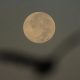 Supermoon November 2025: Bulan Terbesar dan Terang Malam Ini