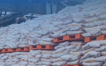 Pabrik NPK Nitrat Pertama RI Dibangun di Karawang, Ini Dampaknya bagi Petani