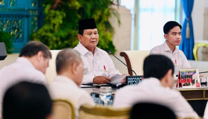 Pemerintah Cabut Izin Hutan Bermasalah, 1 Juta Hektare Konsesi Dihentikan