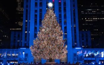 Sejarah Pohon Natal yang Tak Banyak Diketahui Umat Kristiani