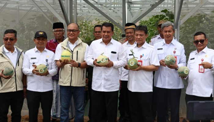Bupati Tangerang Resmikan Greenhouse dan Panen Perdana Melon Program TJSL PLN di Desa Sodong
