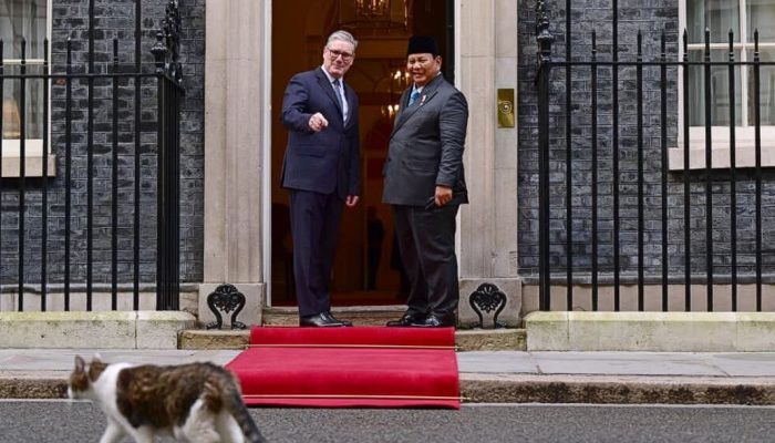 Disambut PM Inggris, Presiden Prabowo Bertemu Larry the Cat di Downing Street