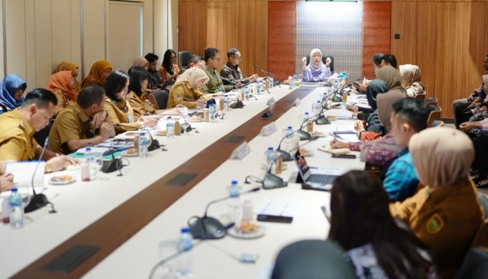 Ditunjuk Jadi Tuan Rumah Kriyanusa 2026, Ketua Dekranasda Sumsel Gaspol: UMKM Wajib Siap Tampil Nasional!