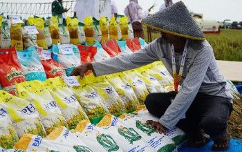 Godok Beras SPHP Satu Harga Rp11.000 per Kg, Berlaku Nasional Mulai 2026