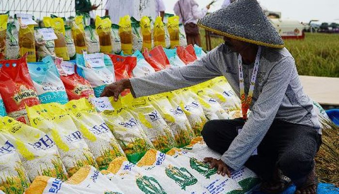 Godok Beras SPHP Satu Harga Rp11.000 per Kg, Berlaku Nasional Mulai 2026