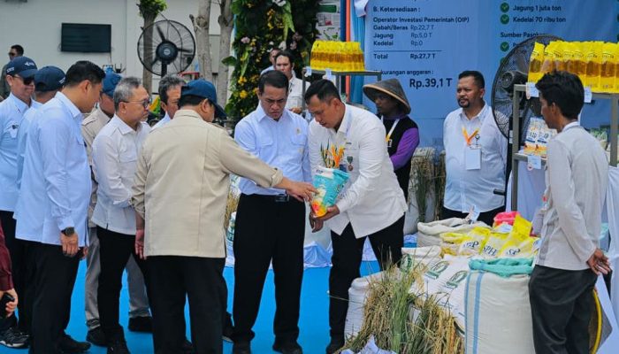 Presiden Prabowo Tinjau Inovasi Pertanian Modern dan Hilirisasi di Karawang