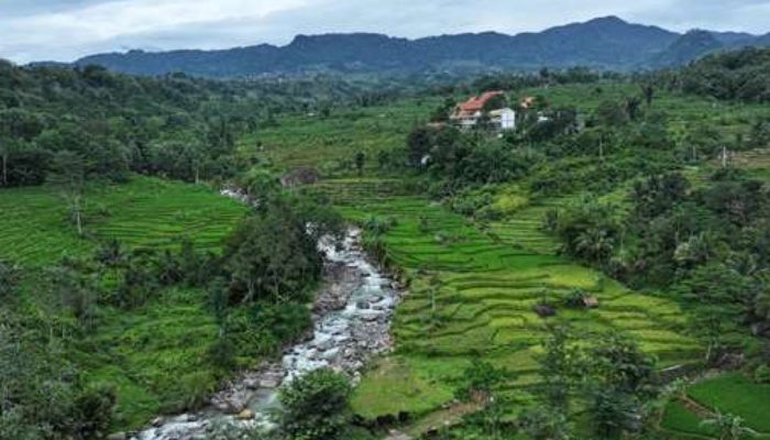 Dulu Terisolasi, Kini Diserbu Wisatawan! Jalan Nirmala Bogor Disulap Jadi Akses Mulus ke Surga Tersembunyi