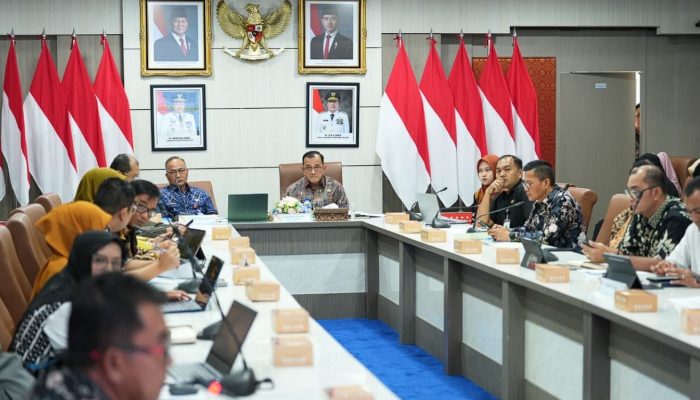 Sekda Sumsel Dorong OPD Tuntaskan 35 Indikator PSN 2025