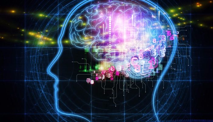 7 Kampus Jurusan AI di Jakarta yang Lagi Diburu 2026: Gaji Lulusan Bisa Tembus Rp15 Juta