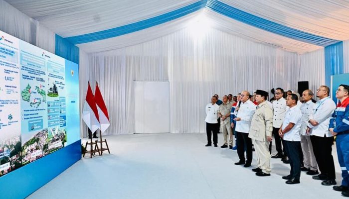 Hilirisasi Tahap II: Ini 13 Proyek Rp116 Triliun untuk Ekonomi RI