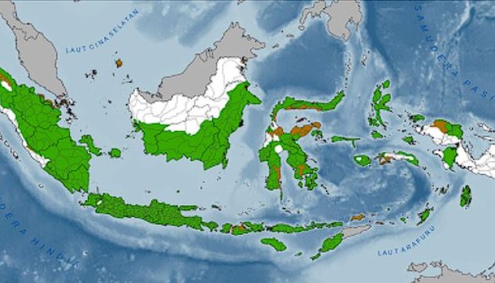 Prediksi BMKG El Nino 2026: Musim Kemarau Diprediksi Lebih Kering dan Panjang, Wilayah Ini Sudah Terdampak