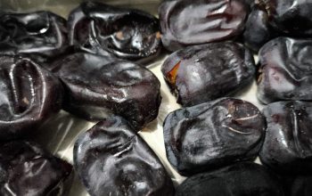 Rahasia Kurma Terbongkar! Dari Buah Gurun Jadi Penakluk Penyakit, Ini Fakta Ilmiahnya