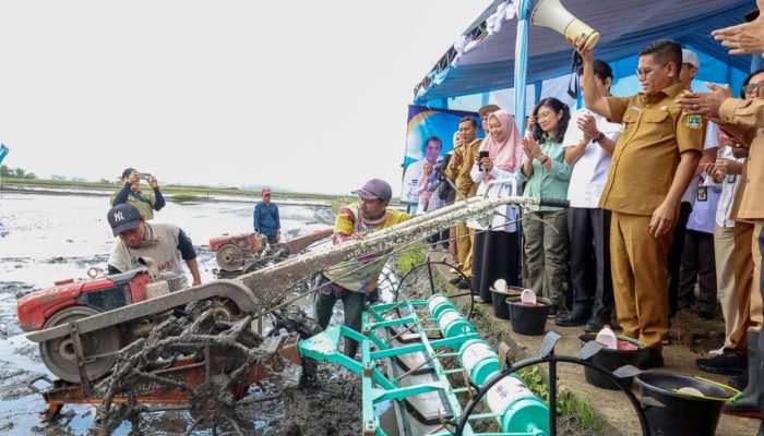 Produksi Beras Banten Melejit, Kenapa Bisa Masuk 8 Besar Nasional
