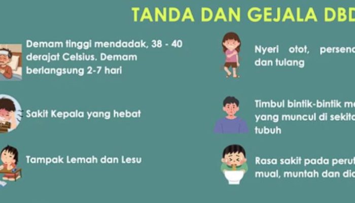 Fase Kritis Dengue Harus Diwaspadai, Ini Tanda-Tanda yang Bisa Berujung Syok hingga Kematian
