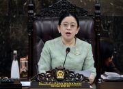Karhutla Riau Meningkat, Puan Maharani Minta Pemerintah Siapkan Perlindungan Warga dari Kabut Asap
