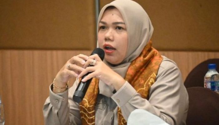 Ciputra Mitra Hospital Banjarmasin Diharapkan Terima BPJS, Mariana Soroti Akses Layanan Kesehatan