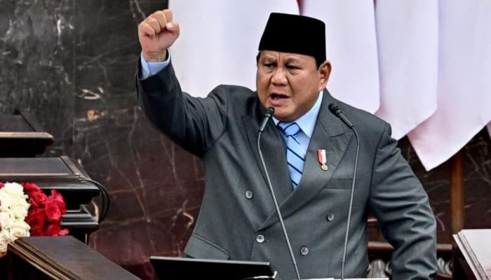 Giant Sea Wall Pantura, PFII, dan DDMF: Strategi Besar Prabowo Bangun Ekonomi Jangka Panjang