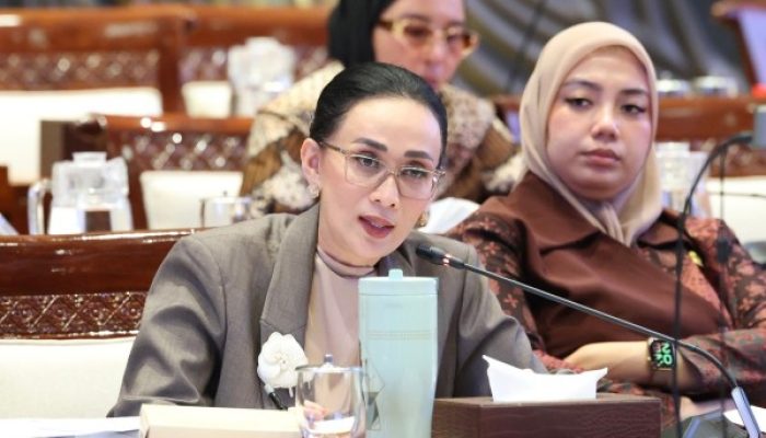 Kasus Bryan Ebem Jadi Sorotan, DPR Ingatkan Kreator Konten Soal Privasi dan UU PDP