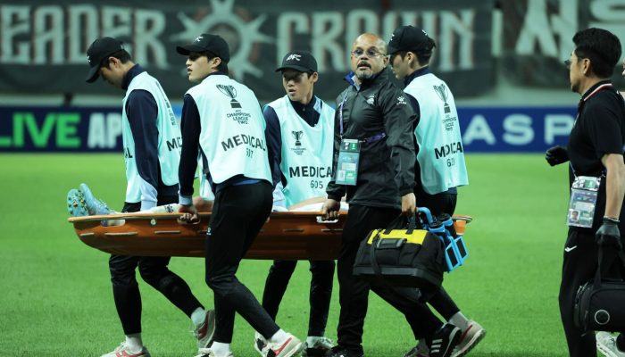 FC Seoul vs Persib Bandung: Pangeran Biru Ukir Catatan Bersejarah, Kuasai Grup E ACL Two