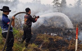 Karhutla Palangka Raya Ditangani Polisi, Ini Upaya Polda Kalteng Cegah Api Meluas