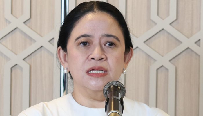 Peningkatan Kasus DBD 2026, Puan Maharani Minta Puskesmas dan Jumantik Diperkuat